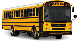 School Bus Type D